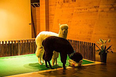 《收获日3》开发商：游戏旨在模仿“好莱坞大盗”之感